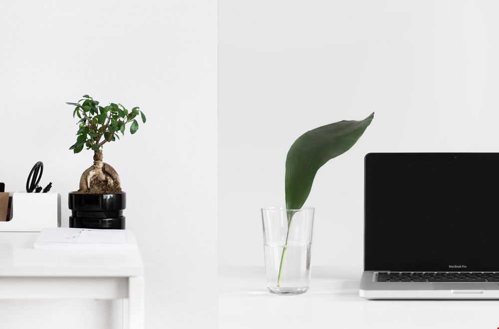 Een vleugje groen op kantoor Een vleugje groen op kantoor